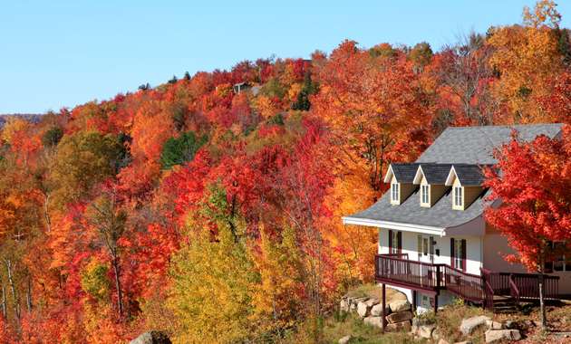 Essential Gadgets for Airbnb Hosts