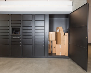 Luxer One Locker with Package