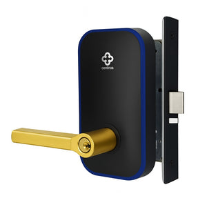 Centrios CEM100 Mortise