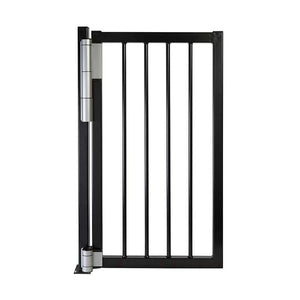 Locinox Mammoth180 on Black Gate in Silver