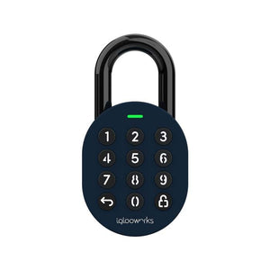 igloohome SP1E