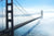 Bridging the Compatibility Gap