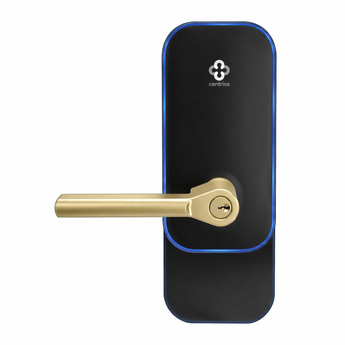 Centrios CEE100 Exit Trim Key-in Lever