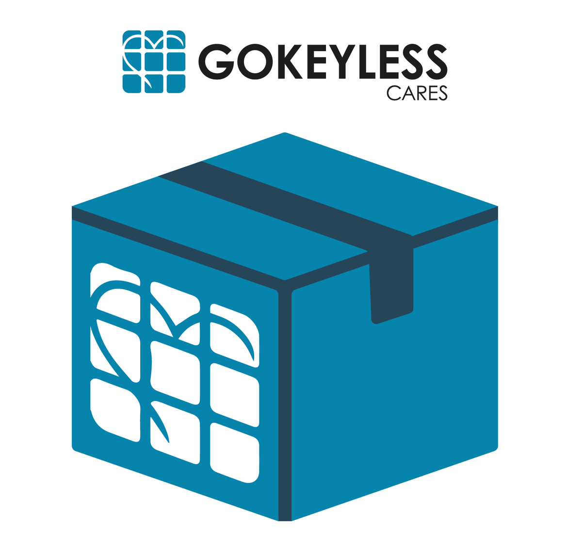 GoKeyless Technical Care Packages